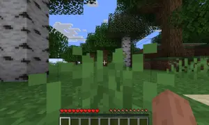 Gracz w świecie Minecraft zbiera trawę. Widać paski zdrowia i głodu.