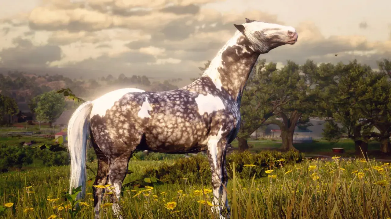Piękny koń w RDR2, z plamistą sierścią, stoi na łące pełnej żółtych kwiatów.