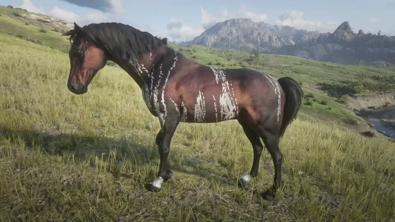 Piękny koń rdr2, kasztanowy z białymi cętkami, stoi na trawiastym wzgórzu z widokiem na góry.