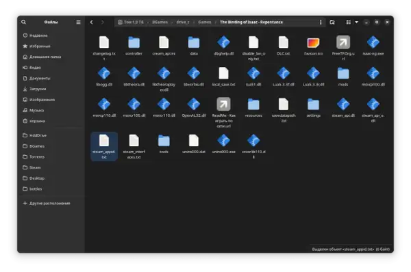 Plik steam_appid.txt jest zaznaczony. Wygląda na to, że steam nie działa, a folder zawiera pliki gry The Binding of Isaac.